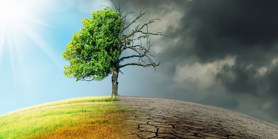 Climate-related financial risks or nature loss and degradation, believe it or not, threaten all of us Nature-related loss